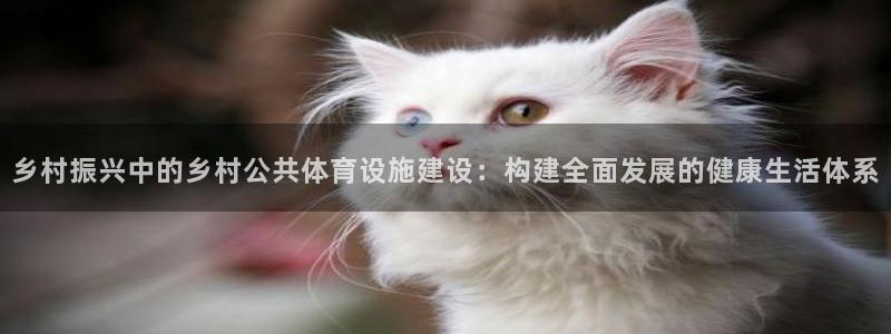 意昂4集团E.ON：乡村振兴中的乡村公共体育设施建设