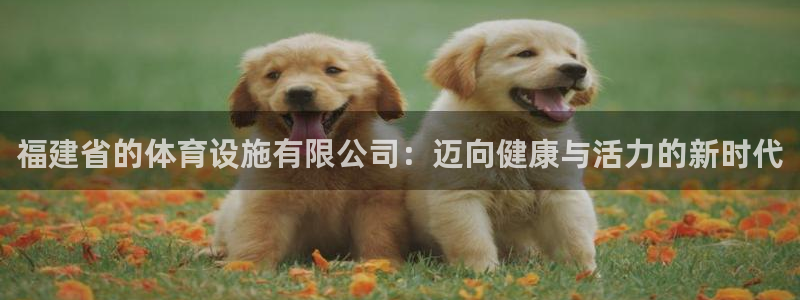 意昂4娱乐下载：福建省的体育设施有限公司：迈向健康与