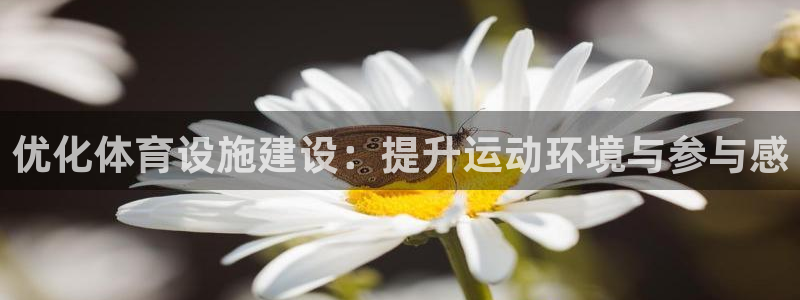 意昂体育4招商电话号码是多少啊：优化体育设施建设：提