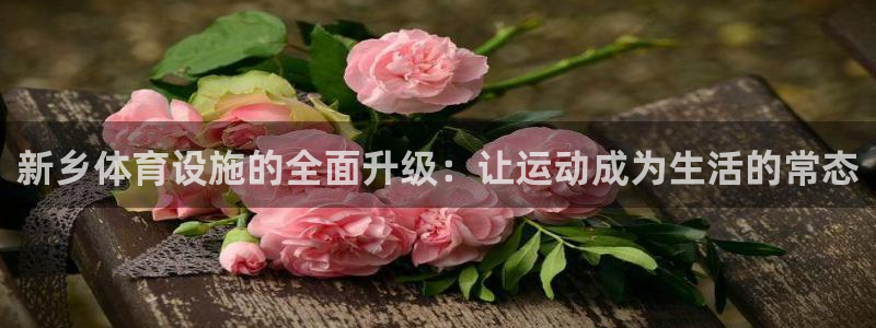 意昂体育4注册：新乡体育设施的全面升级：让运动成为生