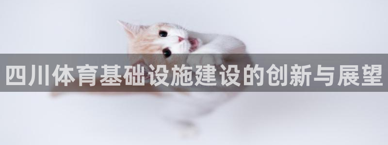 意昂体育4：四川体育基础设施建设的创新与展望
