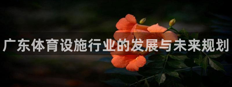 意昂4五金厂：广东体育设施行业的发展与未来规划