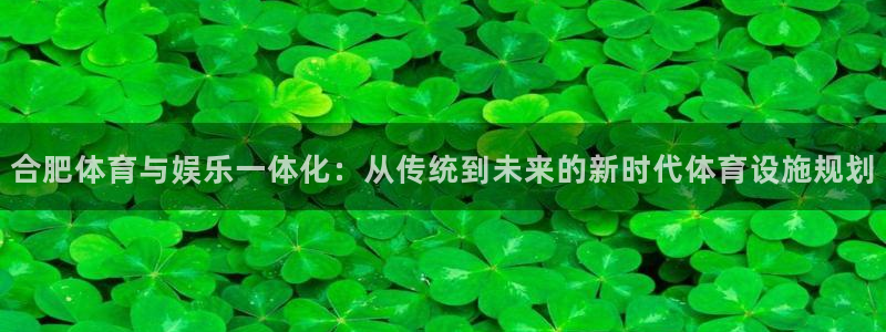 意昂体育4平台注册流程图：合肥体育与娱乐一体化：从传