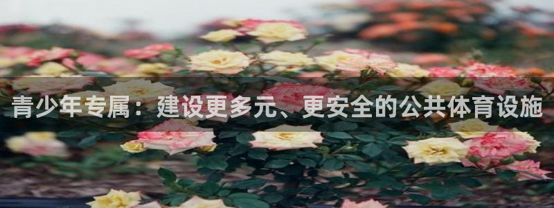 意昂体育4平台：青少年专属：建设更多元、更安全的公共