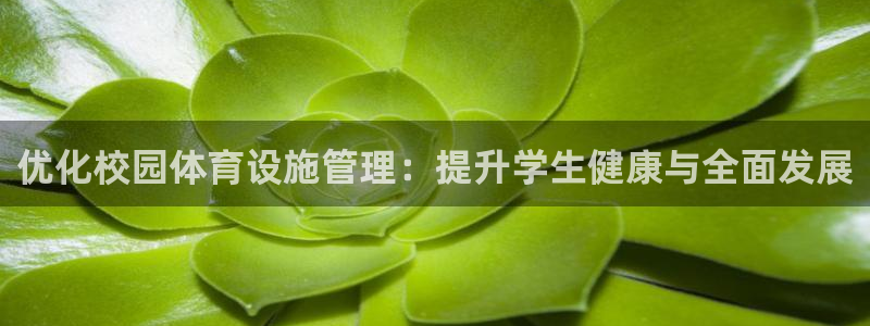 意昂体育4平台