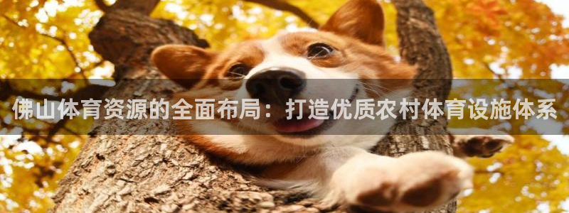 意昂体育4招商电话号码查询是多少：佛山体育资源的全面