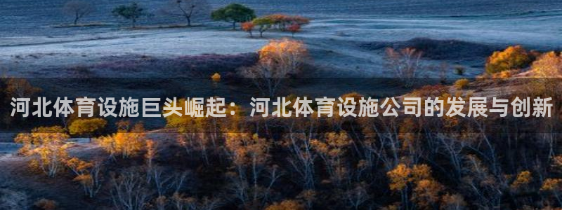 意昂体育4平台注册：河北体育设施巨头崛起：河北体育设