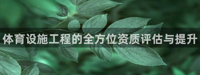 意昂体育4招商电话号码是多少号：体育设施工程的全方位资质评估