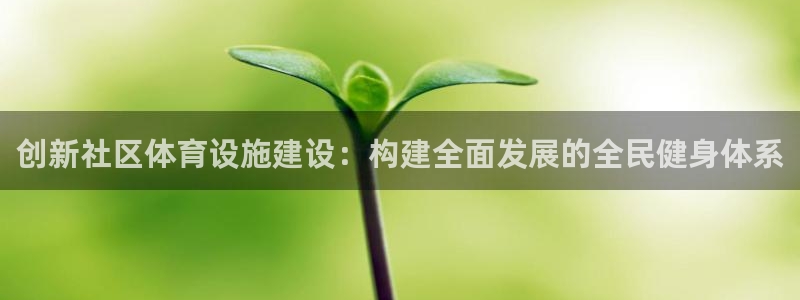 意昂体育4平台APP：创新社区体育设施建设：构建全面发展的全