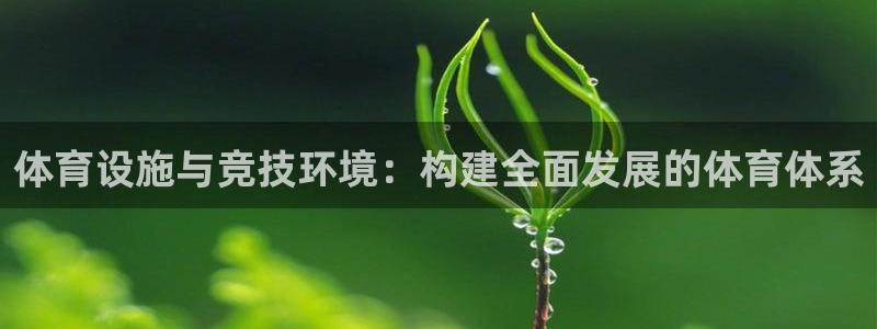海南意昂体育4发展怎么样：体育设施与竞技环境：构建全面发展的