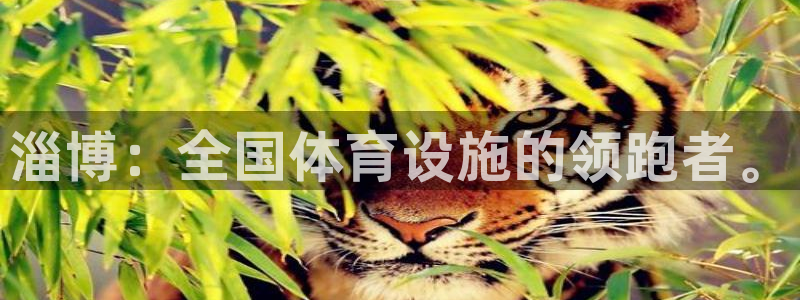 意昂体育4平台注册流程视频：淄博：全国体育设施的领跑者。