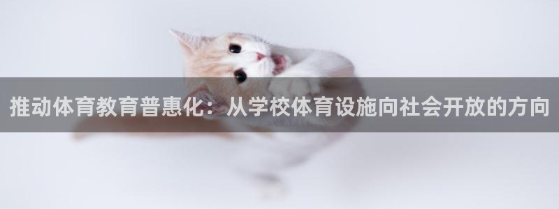 德国意昂4集团：推动体育教育普惠化：从学校体育设施向