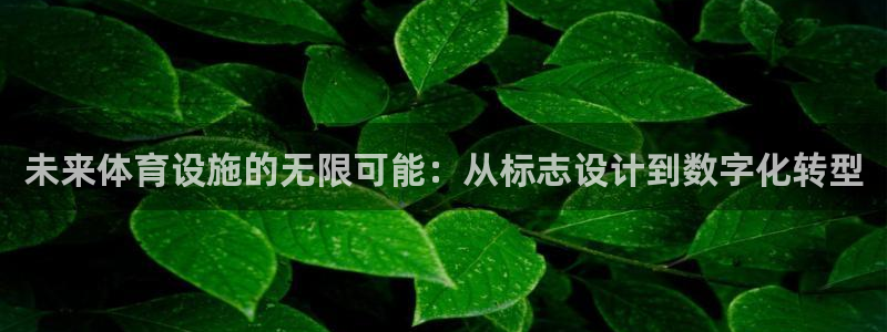 意昂体育4平台是正规平台吗安全吗：未来体育设施的无限