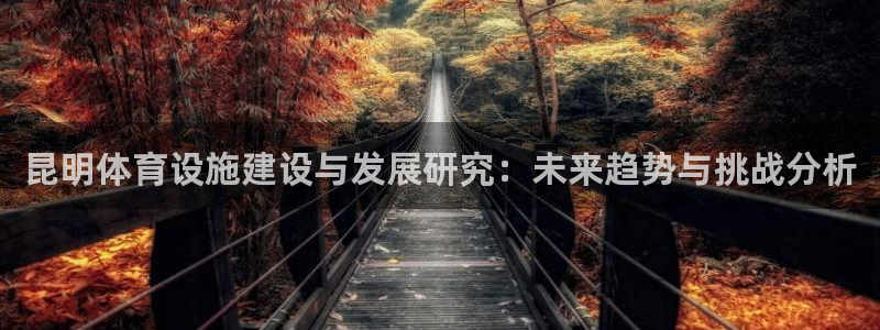 意昂4集团：昆明体育设施建设与发展研究：未来趋势与挑战分析