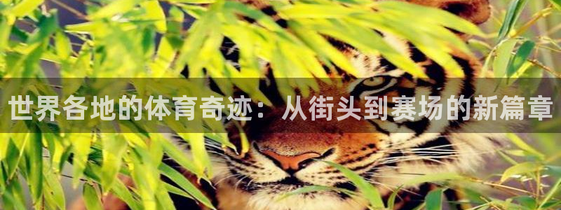 注册意昂4：世界各地的体育奇迹：从街头到赛场的新篇章