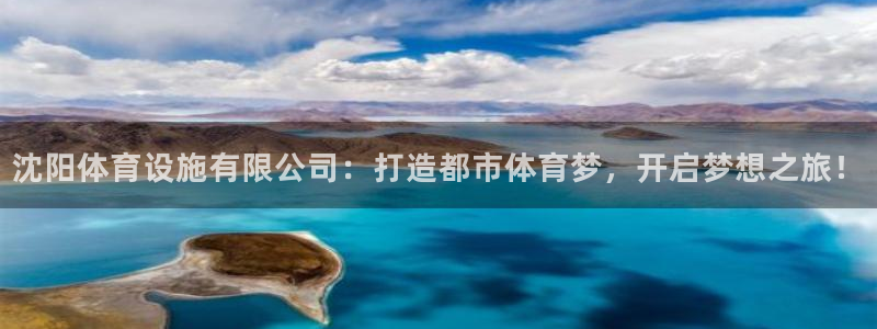 意昂4集团：沈阳体育设施有限公司：打造都市体育梦，开启梦想之