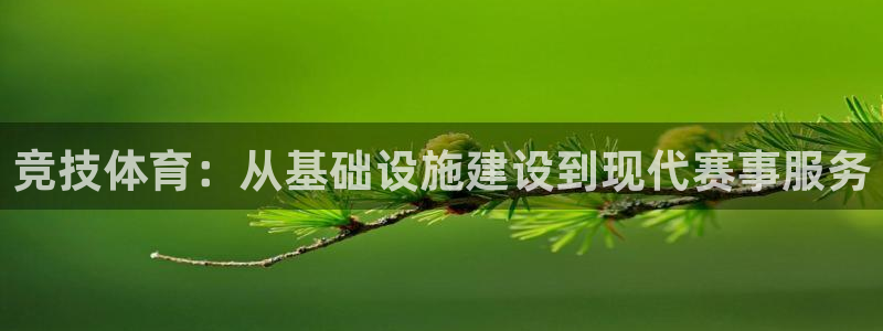 意昂体育4招商电话：竞技体育：从基础设施建设到现代赛