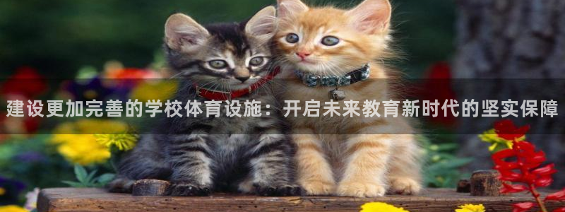 海南意昂体育4