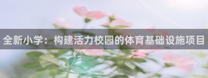意昂体育4招商电话号码：全新小学：构建活力校园的体育基础设施