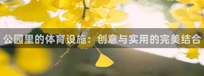 意昂体育4官方客服电话：公园里的体育设施：创意与实用