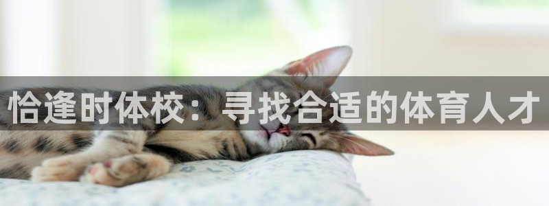 海南意昂体育4：恰逢时体校：寻找合适的体育人才