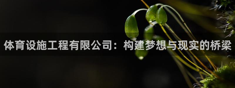 意昂4娱乐40996：体育设施工程有限公司：构建梦想与现实的