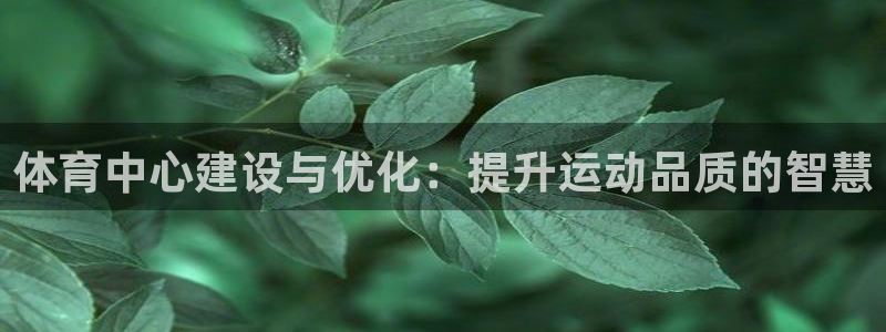 意昂体育4招商电话号码是多少：体育中心建设与优化：提升运动品