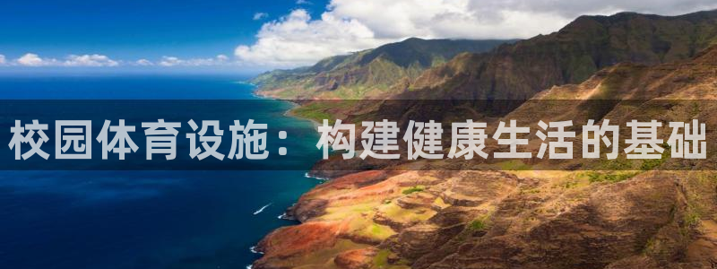 意昂体育4招商：校园体育设施：构建健康生活的基础