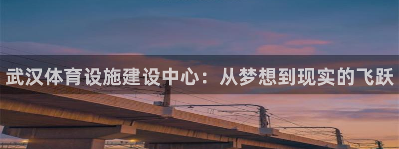 意昂4娱乐首页官网下载：武汉体育设施建设中心：从梦想到现实的