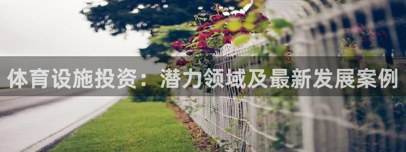 意昂体育4平台注册流程视频：体育设施投资：潜力领域及