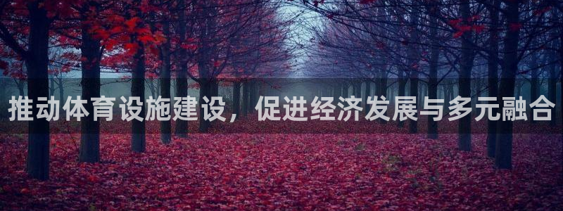 意昂体育4联系电话：推动体育设施建设，促进经济发展与