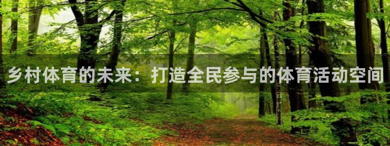 海南意昂体育4发展怎么样：乡村体育的未来：打造全民参