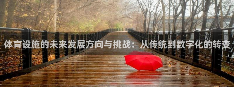 意昂4娱乐下载：体育设施的未来发展方向与挑战：从传统