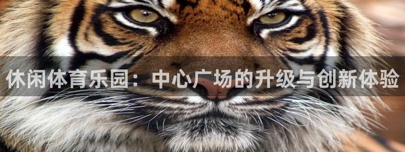 意昂4娱乐平台：休闲体育乐园：中心广场的升级与创新体