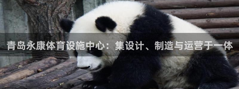 意昂4娱乐网站：青岛永康体育设施中心：集设计、制造与