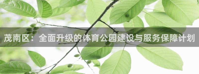 意昂体育4平台注册流程图：茂南区：全面升级的体育公园