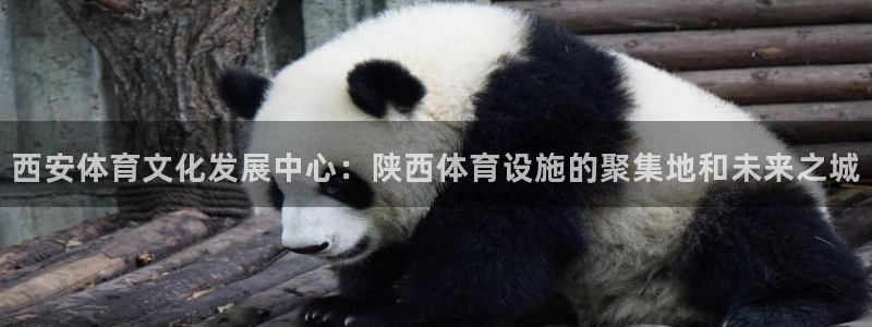 意昂体育4平台：西安体育文化发展中心：陕西体育设施的