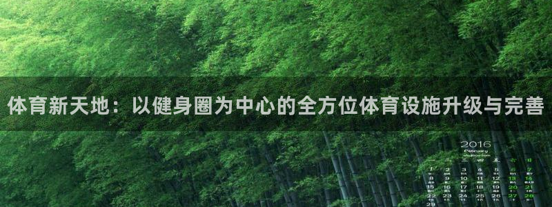 意昂4五金厂：体育新天地：以健身圈为中心的全方位体育