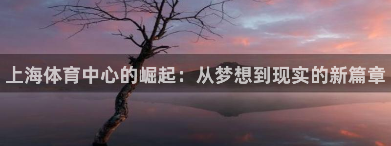 意昂4集团：上海体育中心的崛起：从梦想到现实的新篇章