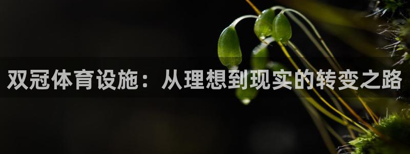 意昂4集团简介：双冠体育设施：从理想到现实的转变之路