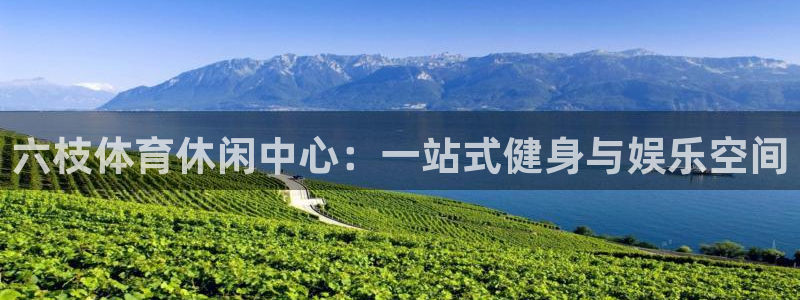 德国意昂4集团：六枝体育休闲中心：一站式健身与娱乐空间