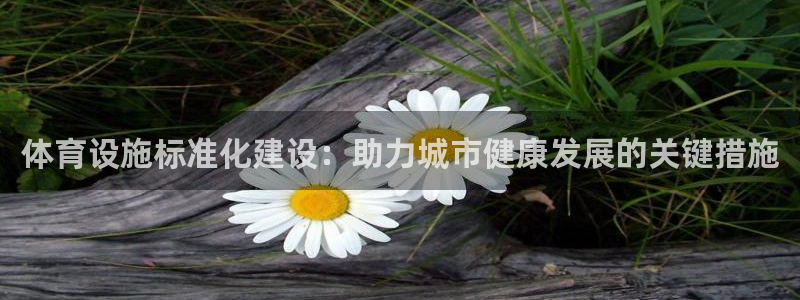 意昂体育4平台注册要钱吗安全吗：体育设施标准化建设：助力城市
