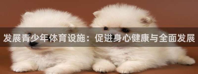 意昂体育4开户：发展青少年体育设施：促进身心健康与全面发展