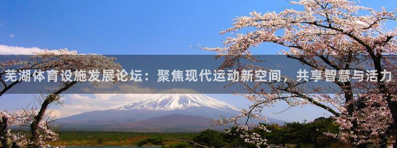 意昂体育4联系电话：芜湖体育设施发展论坛：聚焦现代运