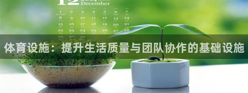 意昂4娱乐40996：体育设施：提升生活质量与团队协
