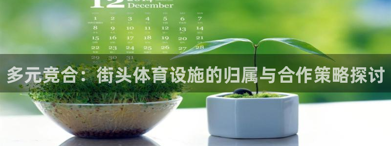 意昂体育4招商电话是多少啊：多元竞合：街头体育设施的