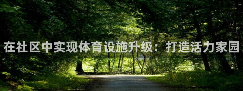 海南意昂体育4：在社区中实现体育设施升级：打造活力家