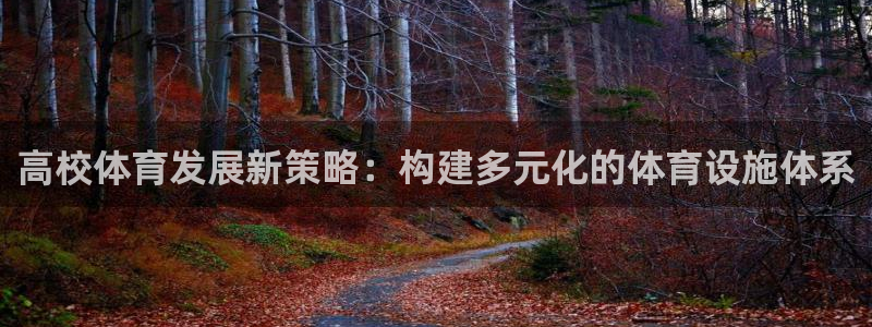 意昂体育4招商电话：高校体育发展新策略：构建多元化的体育设施