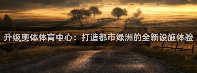 意昂4开户：升级奥体体育中心：打造都市绿洲的全新设施