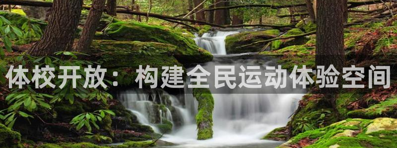 意昂4娱乐是那个系列的台子：体校开放：构建全民运动体